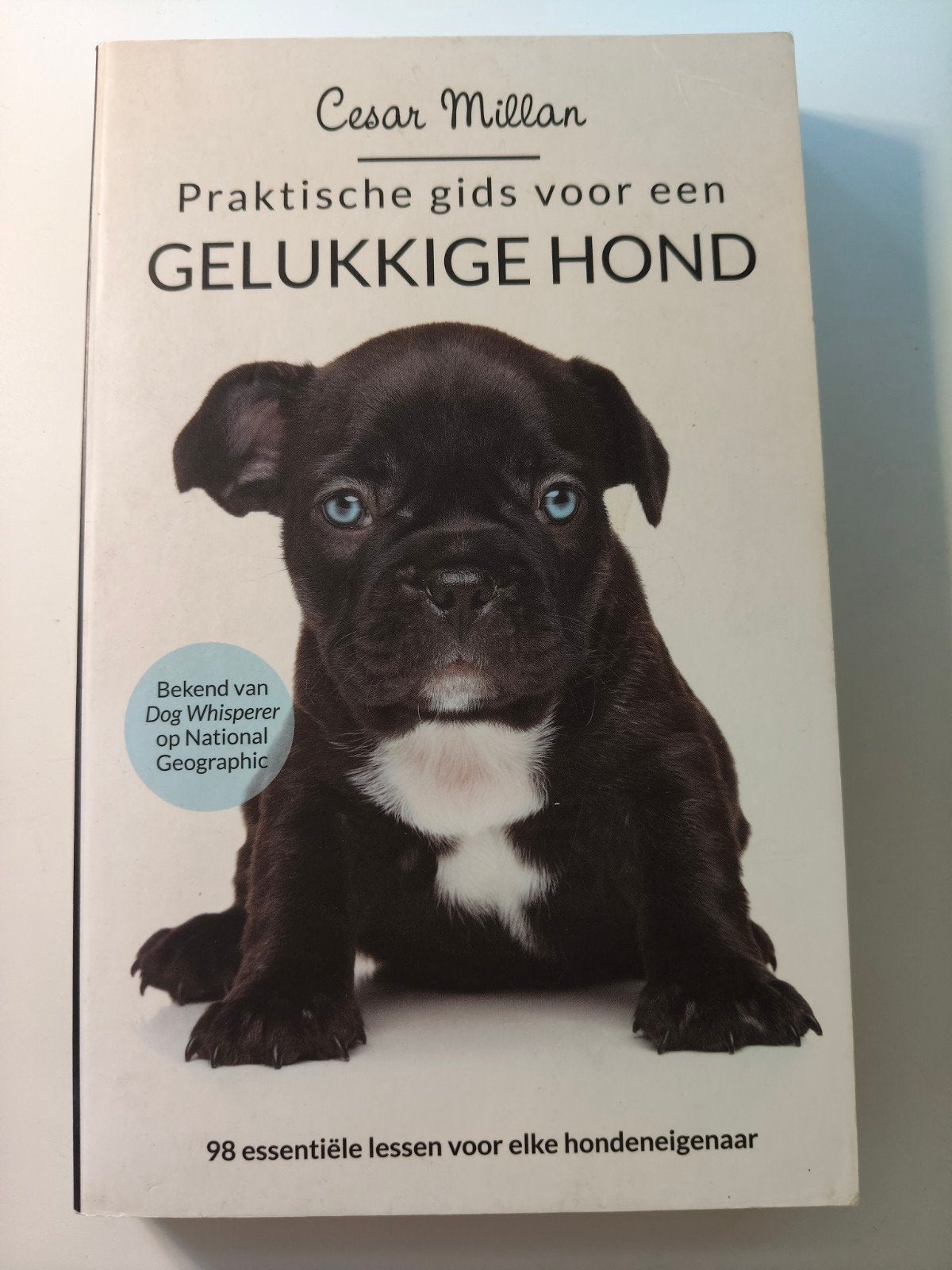 Cesar Millan - Praktische gids voor een gelukkige hond, Honden, Zo goed als nieuw, Cesar Millan, Ophalen of Verzenden