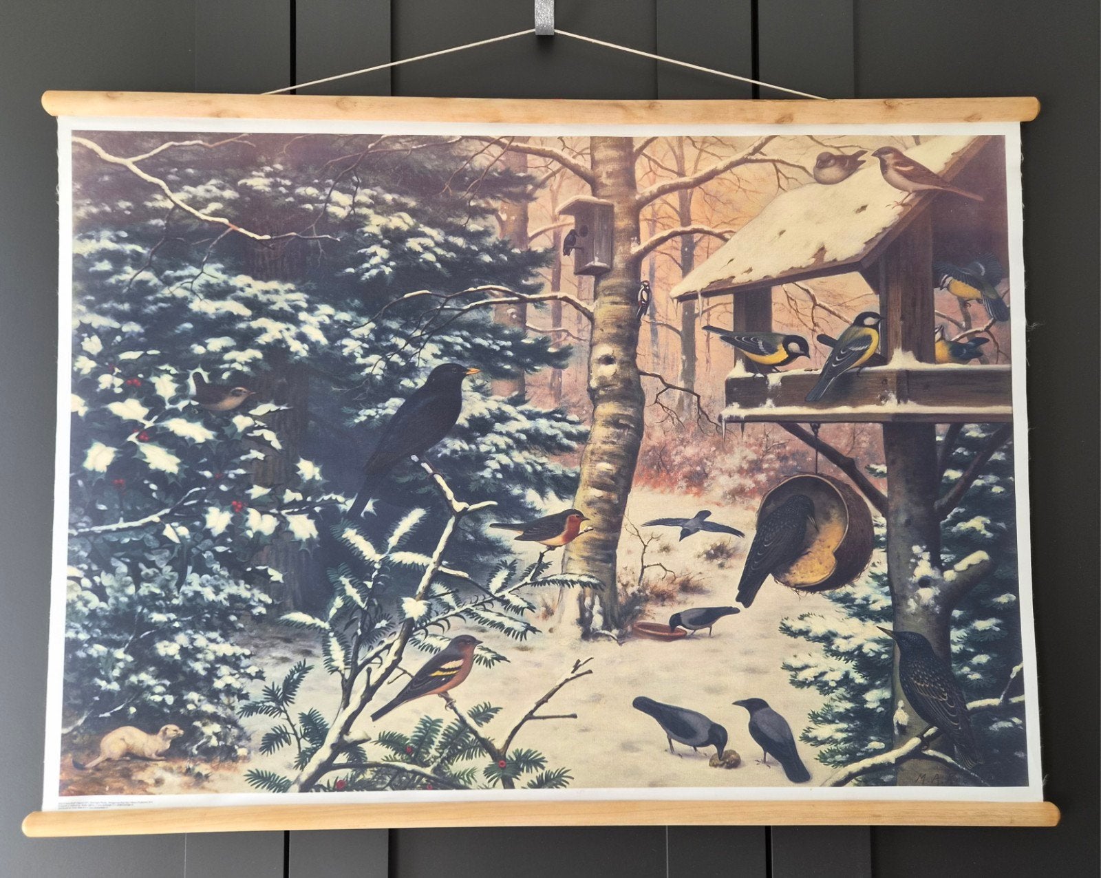 Vintage Schoolplaat Winterlandschap met Vogels, Antiek en Kunst, Antiek | Schoolplaten, Ophalen of Verzenden, Natuur en Biologie