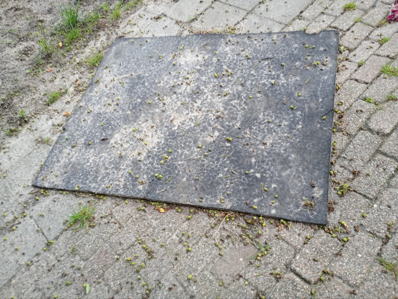 Stal matten gratis op halen, Dieren en Toebehoren, Ophalen, Overige soorten