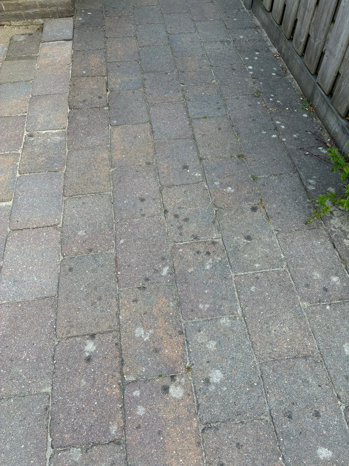 Gratis af te halen: 260 gebruikte tegels (30x20 cm), Tuin en Terras, Tegels en Klinkers, Ophalen, Gebruikt, 10 m² of meer, Beton