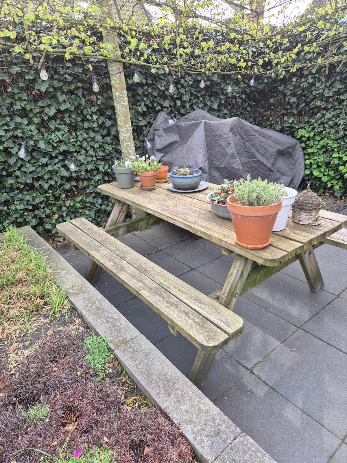 Picknicktafel te koop, Ophalen of Verzenden, Gebruikt, Rechthoekig, Hout