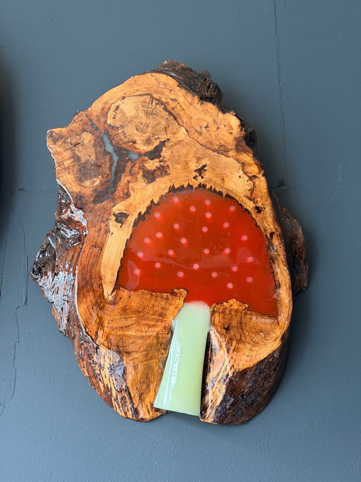 Unieke wanddecoratie: Paddenstoel in hout en epoxy, Huis en Inrichting, Woonaccessoires | Wanddecoraties, Ophalen, Hout, Meerkleurig