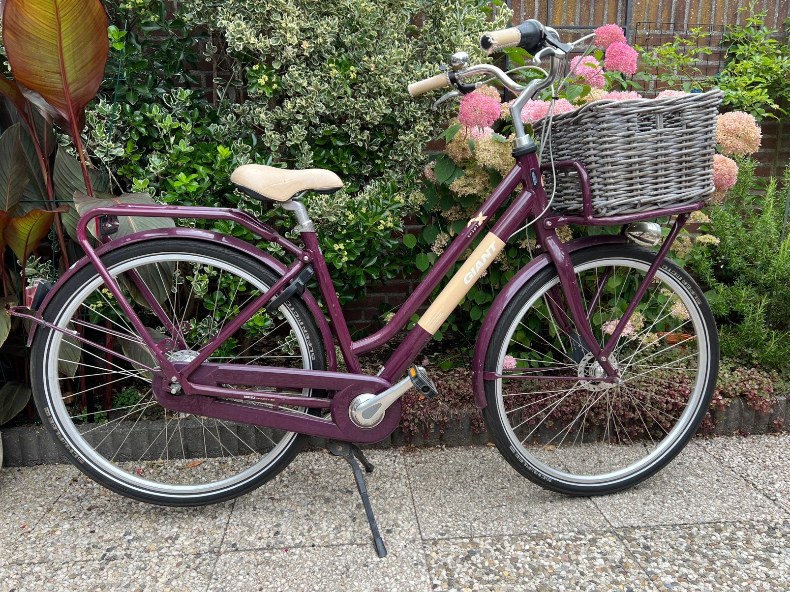 Giant damesfiets nexus 7, Ophalen, Gebruikt, Versnellingen, Giant