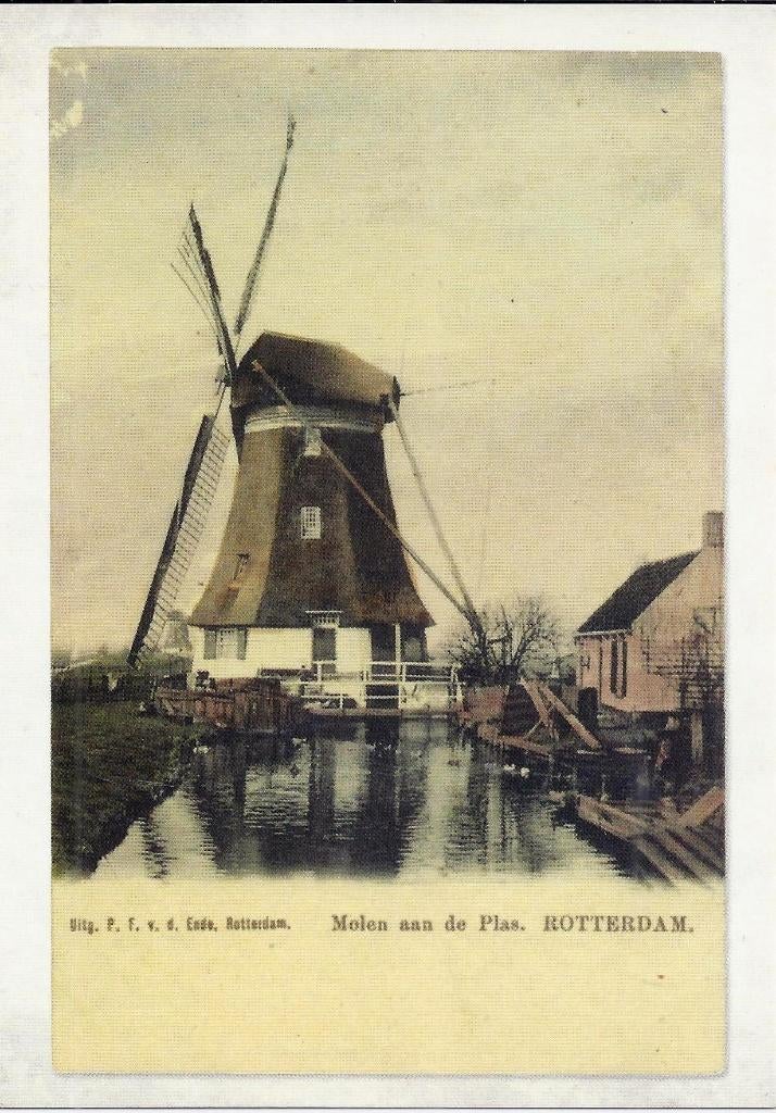 C63 Ongelopen Ansichtkaart Rotterdam Molen ( Herdruk ), Ophalen of Verzenden, 1980 tot heden, Ongelopen, Zuid-Holland
