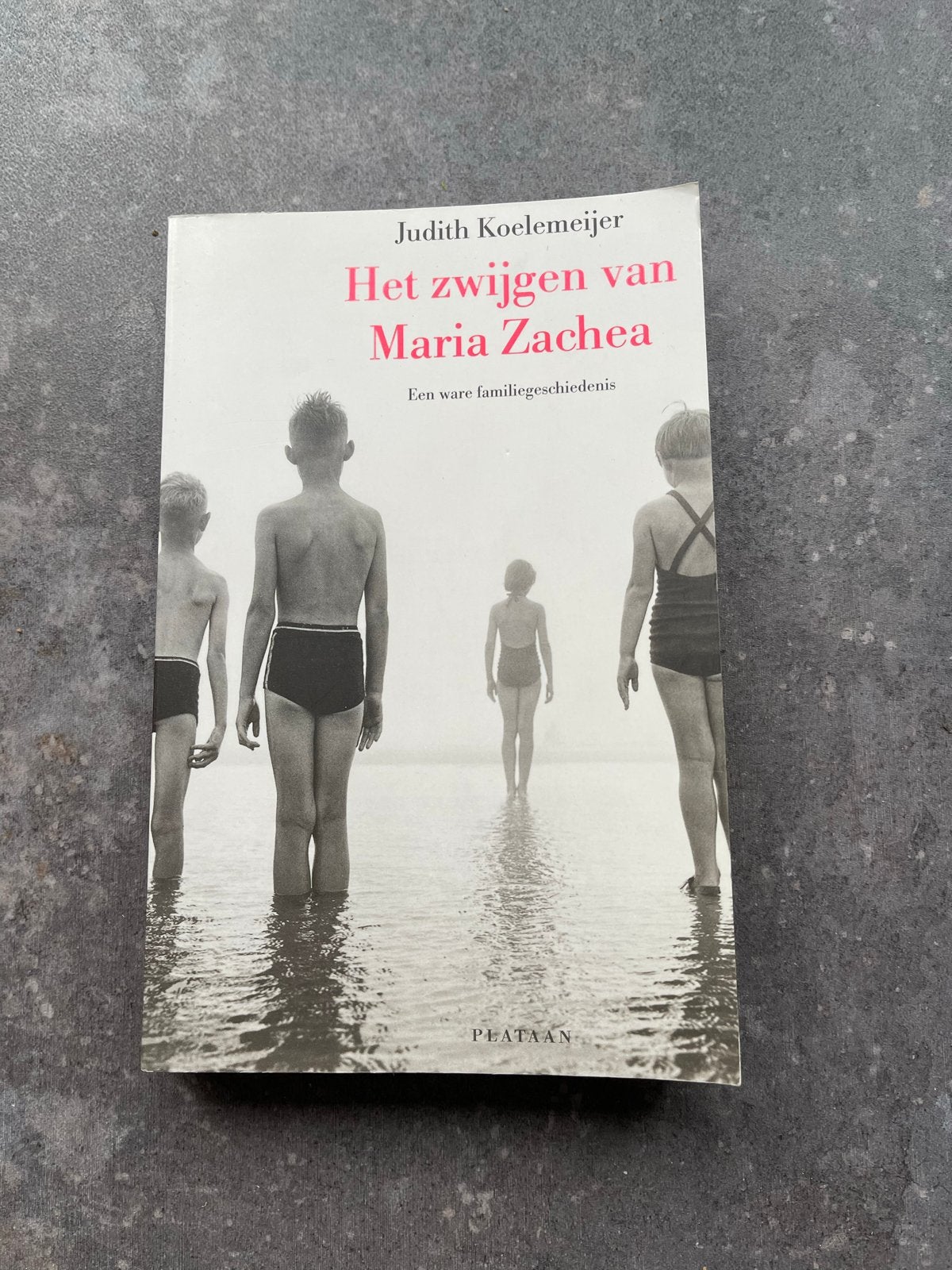 Het zwijgen van Maria Zachea - Judith Koelemeijer, Boeken, Ophalen of Verzenden, Gelezen