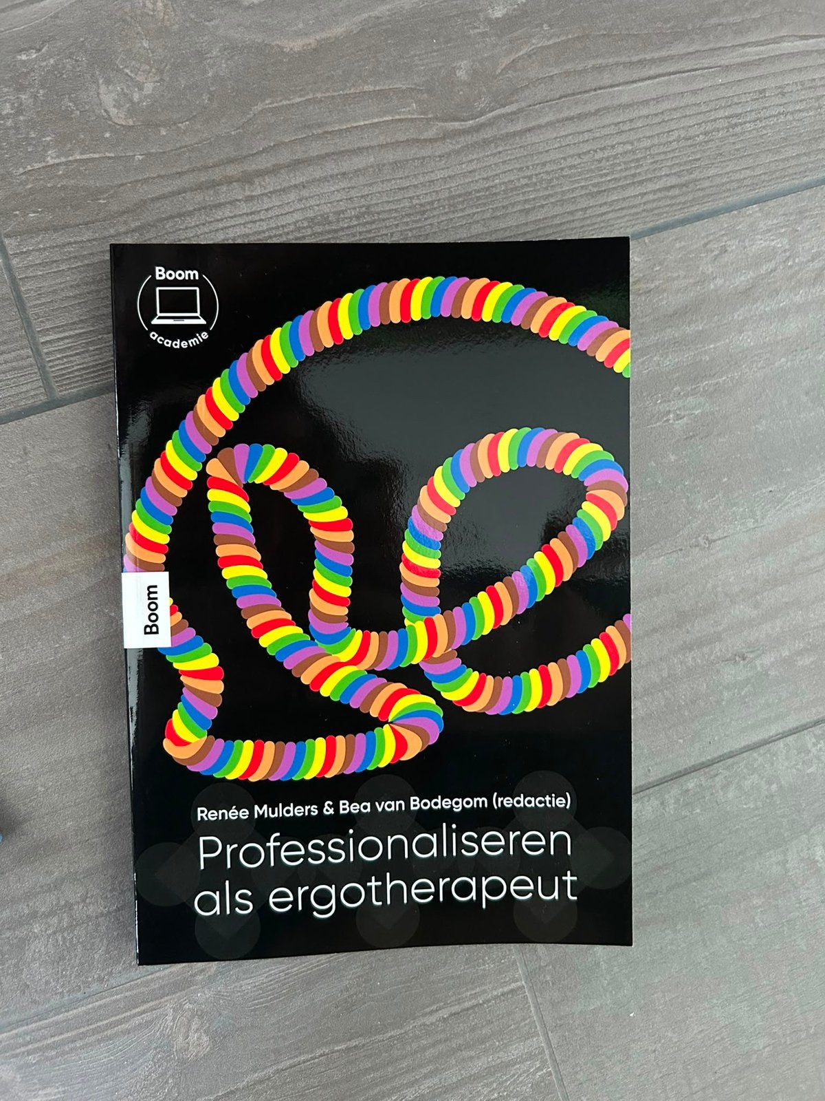 Bea van Bodegom - Professionaliseren als ergotherapeut, Zo goed als nieuw, Bea van Bodegom; Renée Mulders, Alpha, HBO
