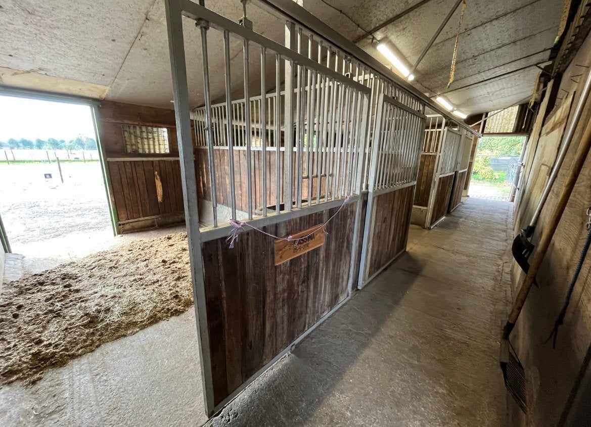 Pensionstalling, Stalling, 1 paard of pony