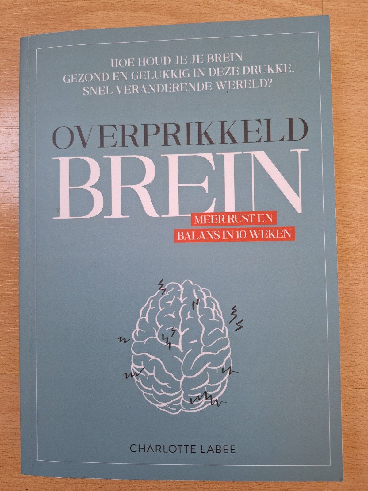 Charlotte Labee- Overprikkeld Brein - Meer rust en balans in, Boeken, Ophalen of Verzenden, Zo goed als nieuw, Charlotte Labee
