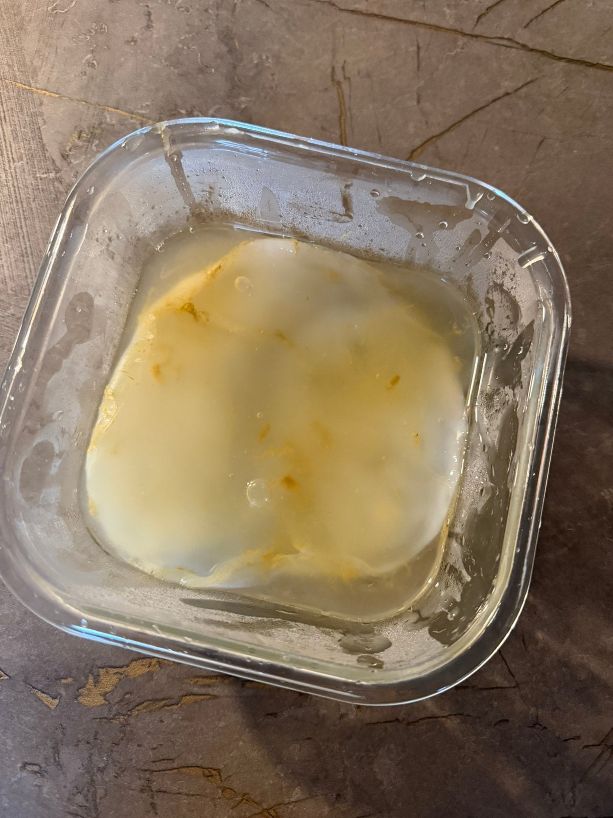 Kombucha Scoby, Diversen, Ophalen