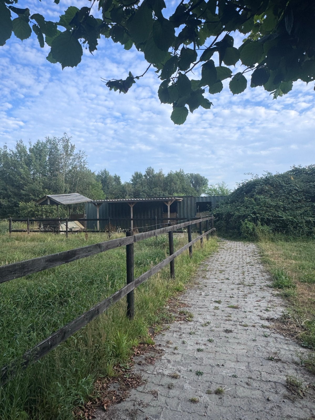 Tijdelijke weidegang met stalling, Stalling