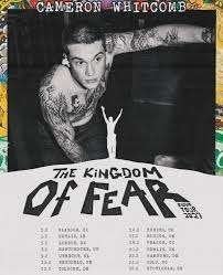 Gezocht: Cameron Whitcomb 2 tickets Nederland, Tickets en Kaartjes, Twee personen, Februari