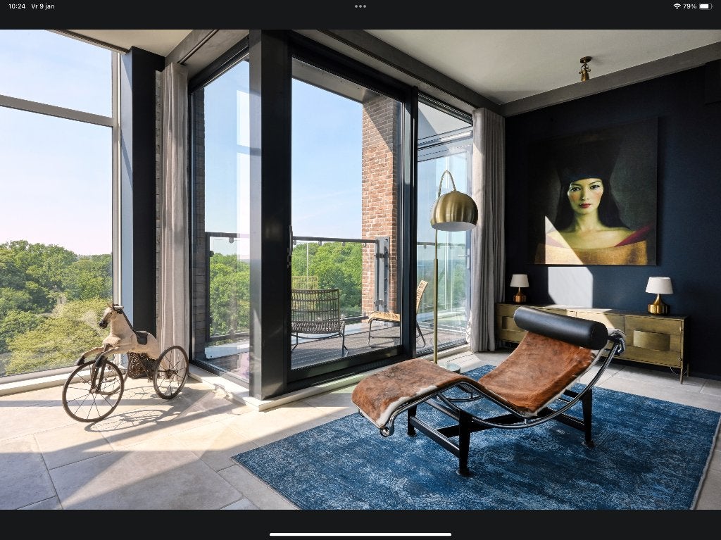 Cassina ligstoel LC 4 corbusier ponnyhuid replica, Ophalen