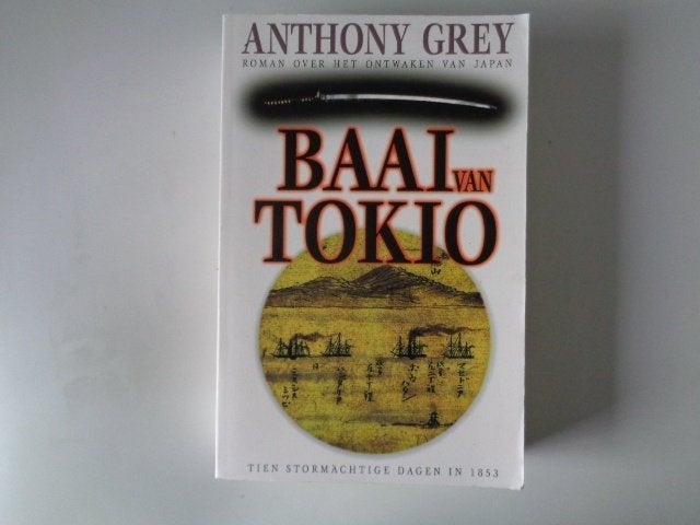 7255-8-2 : Baai van Tokio, roman over ontwaken van Japan.2B, Boeken, Ophalen of Verzenden, Zo goed als nieuw