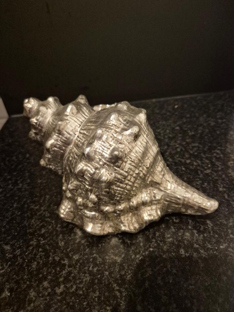 Decoratieve schelp en zeester, zilverkleurig, ca. 20 cm, Ophalen of Verzenden