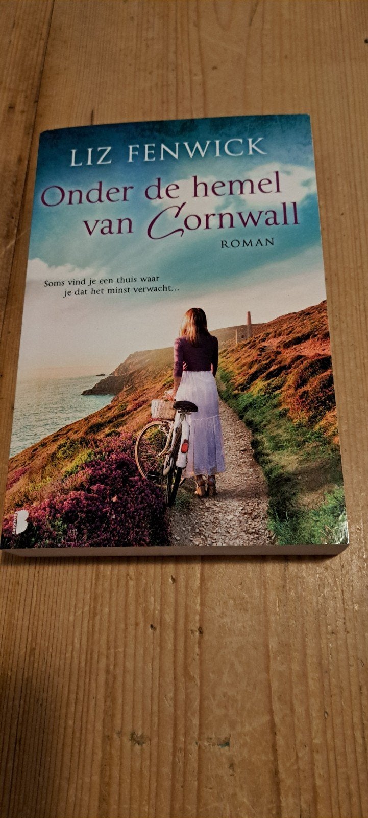 Onder de hemel van Cornwall - Liz Fenwick (Roman), Ophalen of Verzenden, Gelezen, Liz Fenwick, Europa overig