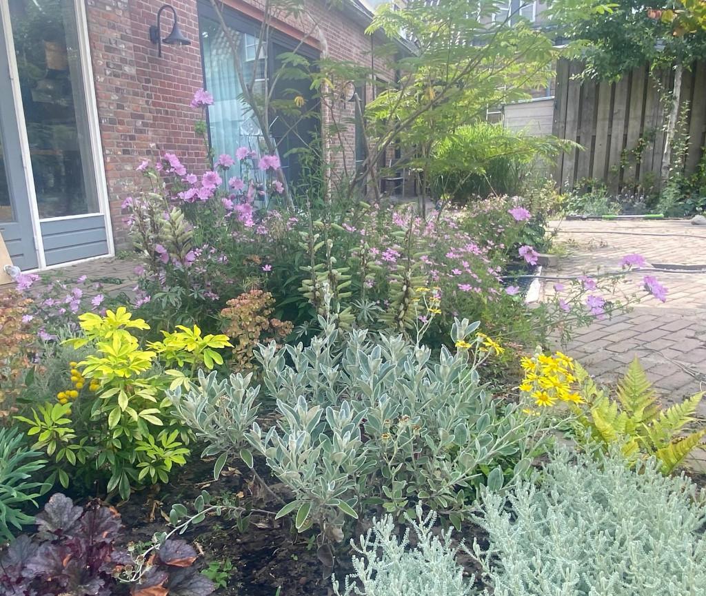 Wil jij een groene, diverse en onderhoudsvriendelijke tuin?, Diensten en Vakmensen, Tuin- of Vijveraanleg