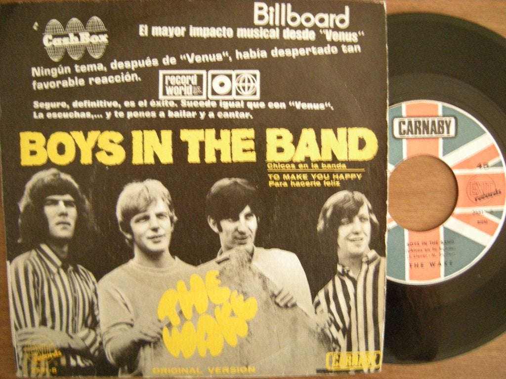 The Wake (Boys In The Band), Ophalen of Verzenden, Gebruikt, 7 inch, Pop
