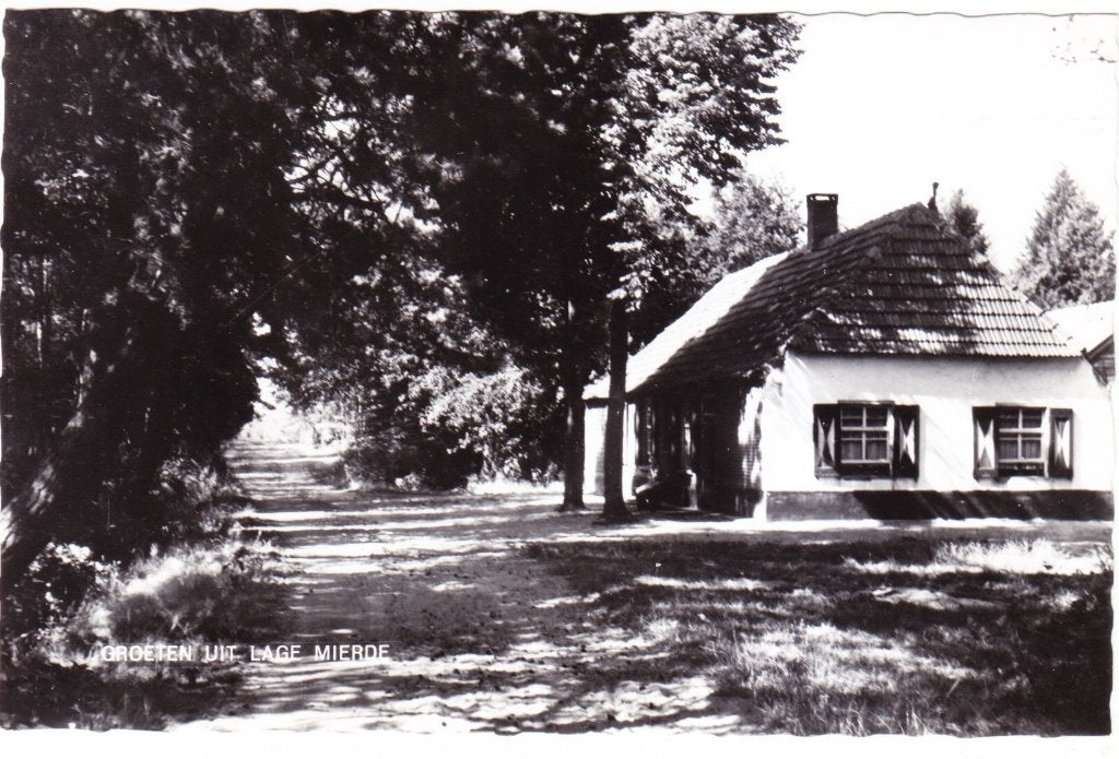 Groeten uit Lage Mierde, Verzenden, 1960 tot 1980, Ongelopen, Noord-Brabant