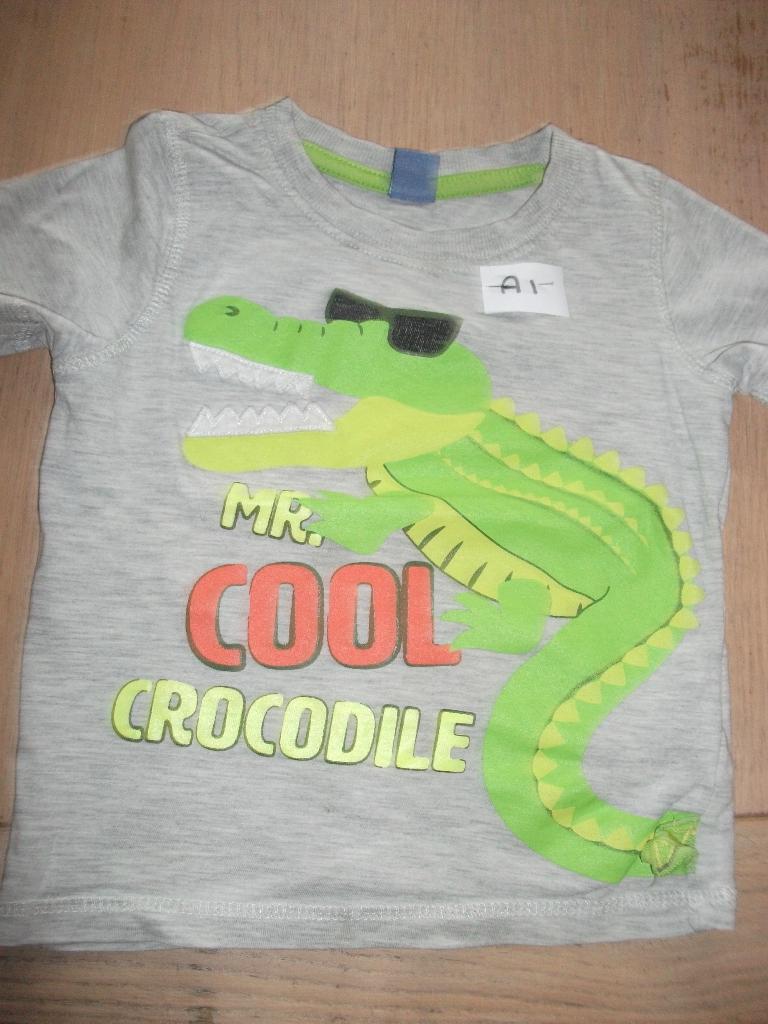 t shirt maat 98, Kinderen en Baby's, Kinderkleding | Maat 98, Ophalen of Verzenden, Zo goed als nieuw, Jongen, Shirt of Longsleeve