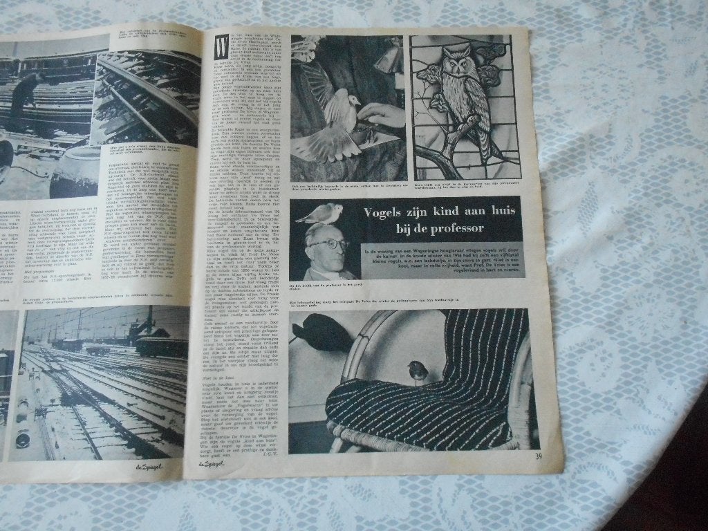 Wageningen. Prof. de Vries. Vogels in woonkamer. 1960., Ophalen of Verzenden, 1960 tot 1980, Nederland, Knipsel(s)