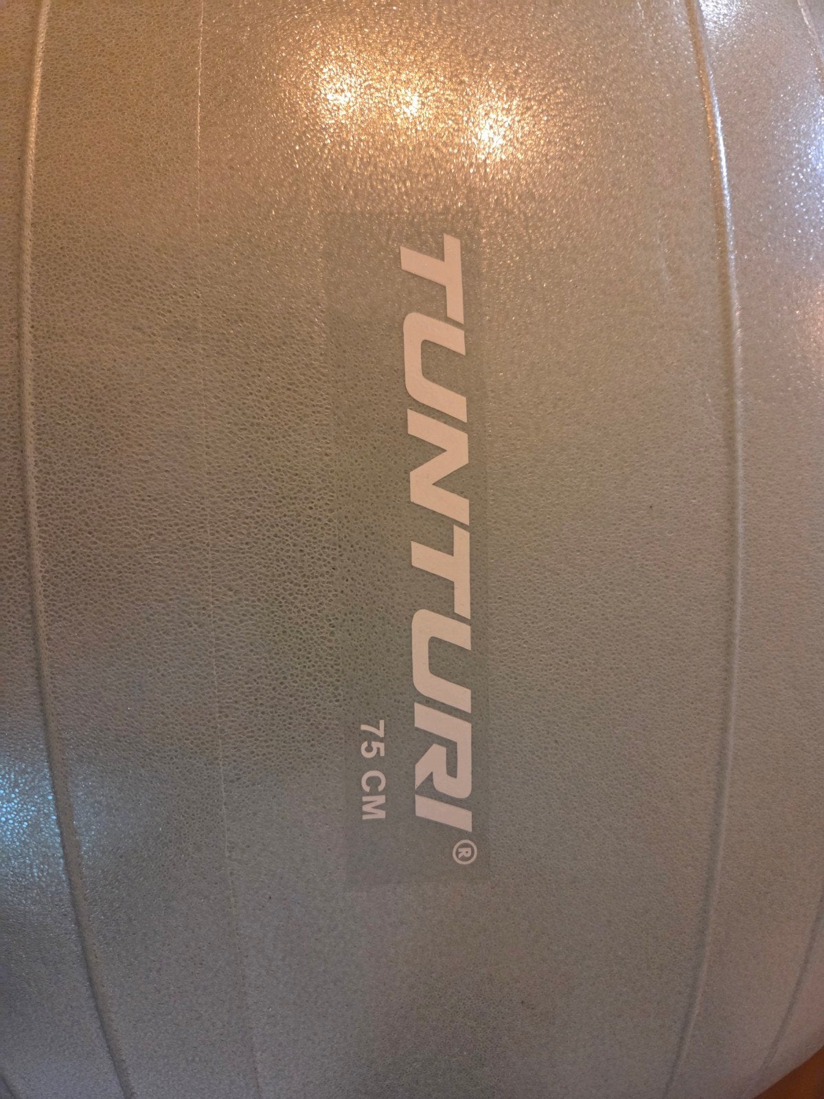 Tunturi Fitnessbal 75 cm met pomp, Ophalen of Verzenden, Zo goed als nieuw, Buik, Fitnessbal