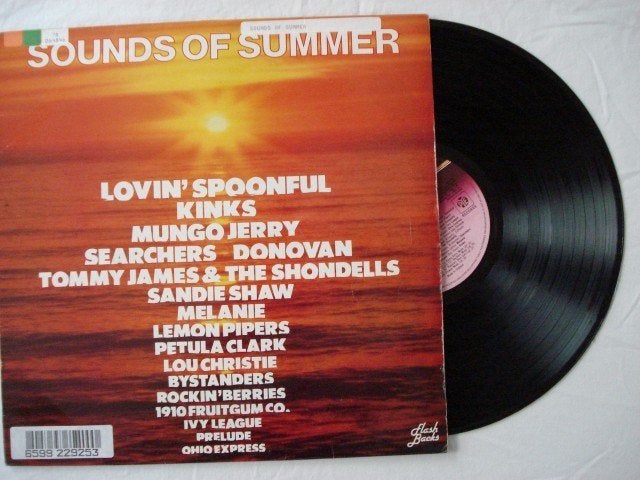 Sounds of summer, LP, Gebruikt, Ophalen of Verzenden, 12 inch