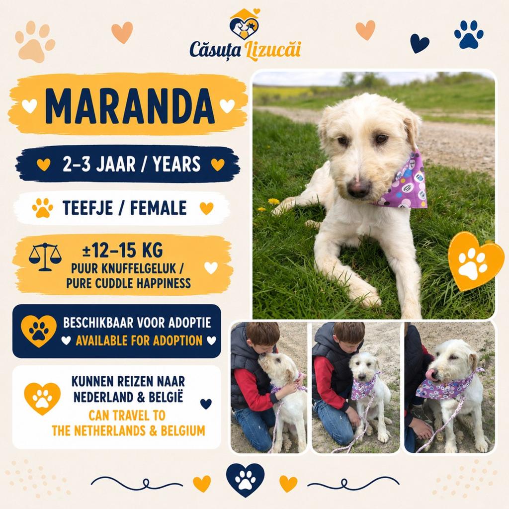 MARANDA LIEVE, ZACHTAARDIGE HOND OPZOEK NAAR HAAR HOME, Dieren en Toebehoren, Honden | Niet-rashonden, Particulier, 1 tot 2 jaar