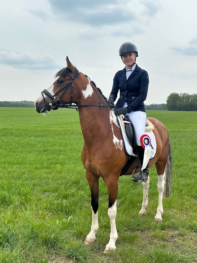 Knappe allround bonte D-pony 1.48m, Dressuurpony, M, 11 jaar of ouder, D pony (1.37m tot 1.48m)