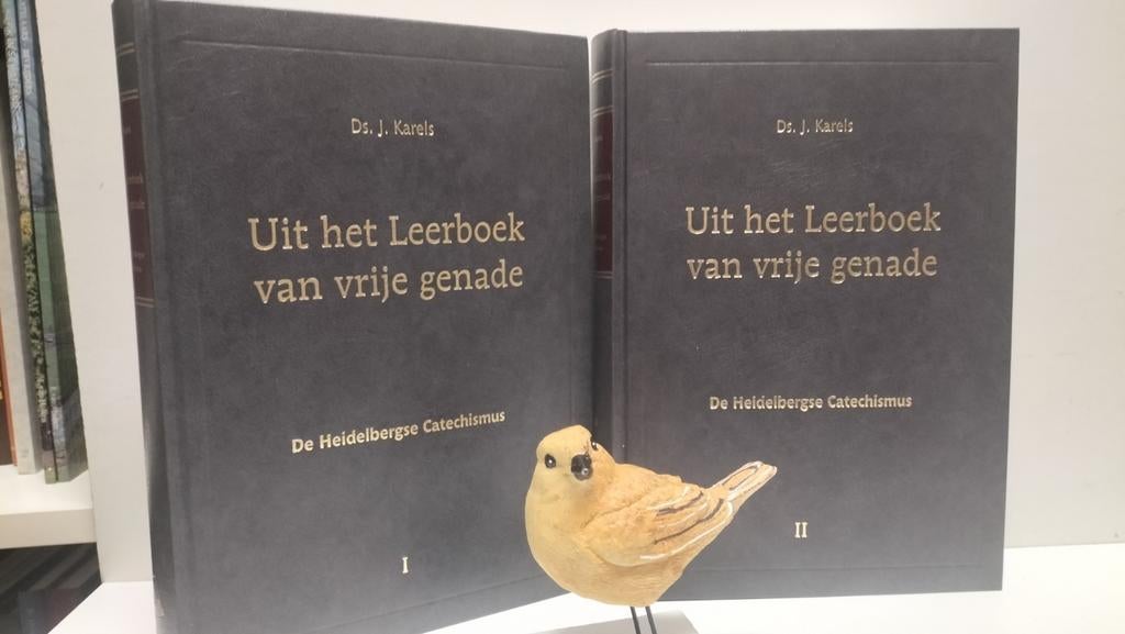 Karels. Ds. J. ; Ui het leerboek van vrije genade 2 delen, Boeken, Ophalen of Verzenden, Gelezen, Christendom | Protestants