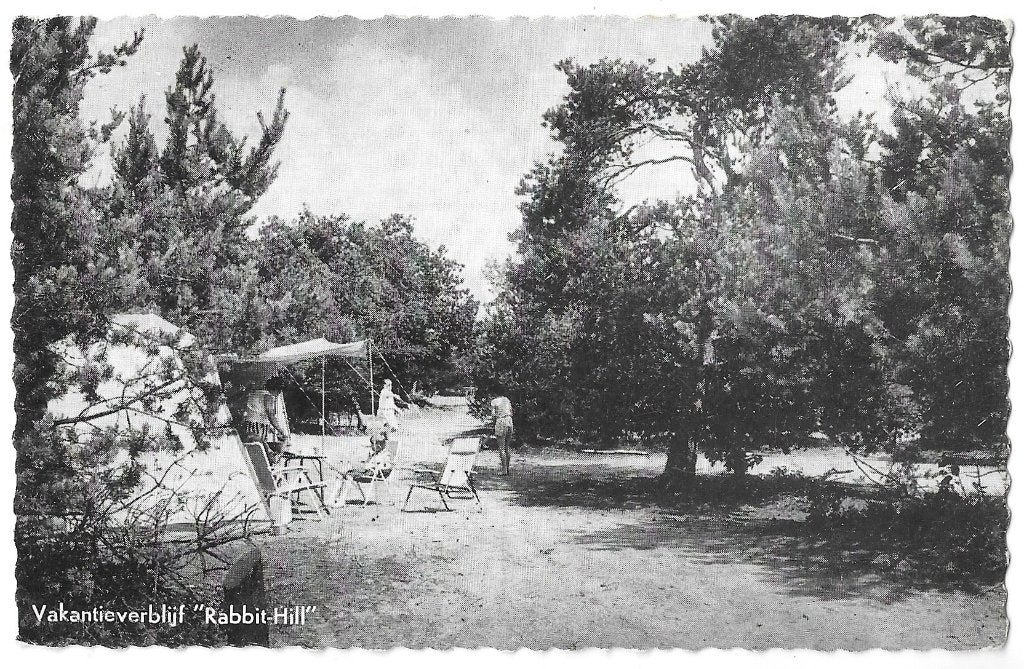 AK Nieuw-Milligen - Vakantieverblijf "Rabbit Hill", Ophalen of Verzenden, 1960 tot 1980, Gelopen, Gelderland