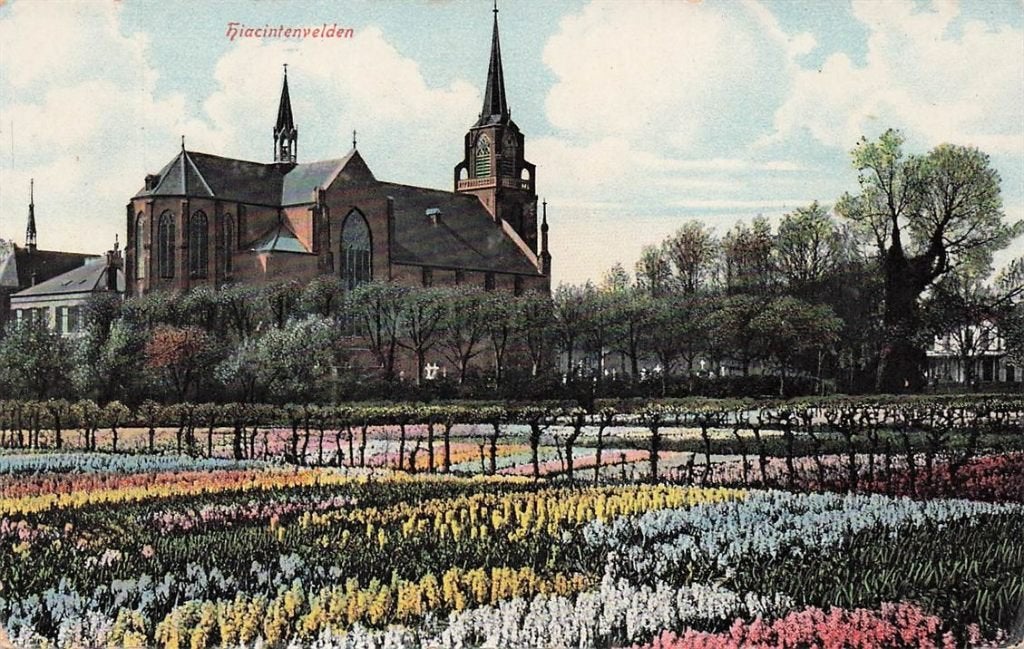 703-450-041 Hiacintenvelden, Verzamelen, Ansichtkaarten | Nederland, Voor 1920, Verzenden