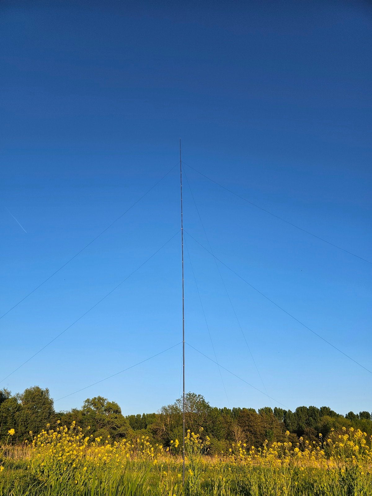 ionopole 20M antenne Mast, Ophalen of Verzenden, Zo goed als nieuw
