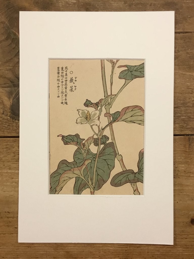 Antieke Japanse houtblok prent in passe-patout, Antiek en Kunst, Kunst | Niet-Westerse kunst, Wanddecoratie, Verzenden, Handgemaakt