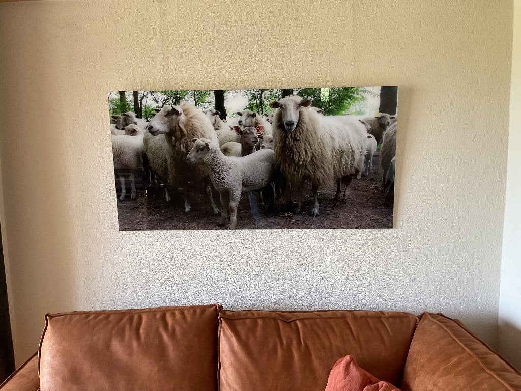 Foto op plexiglas, Huis en Inrichting, Ophalen, 50 – 75, Nieuw, 100 tot 125 cm