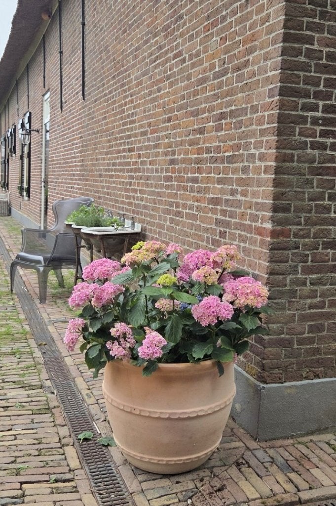 Ronde terracotta bloempotten Greek (4 maten) terras tuin, Tuin en Terras, Bloempotten, Ophalen, 40 cm of meer, Rond, Nieuw