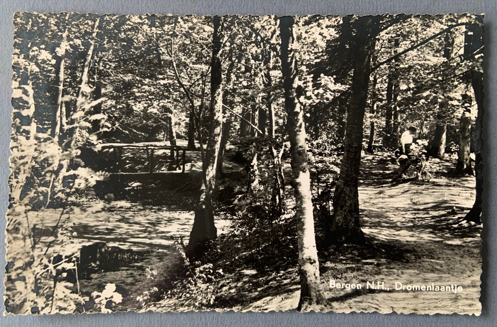 Bergen N.H., Dromenlaantje, Verzamelen, Ansichtkaarten | Nederland, Verzenden, 1920 tot 1940, Gelopen, Noord-Holland