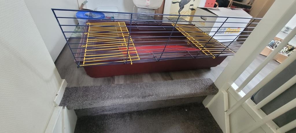 Cavia hok, Gebruikt, Hok, 75 tot 110 cm, Cavia