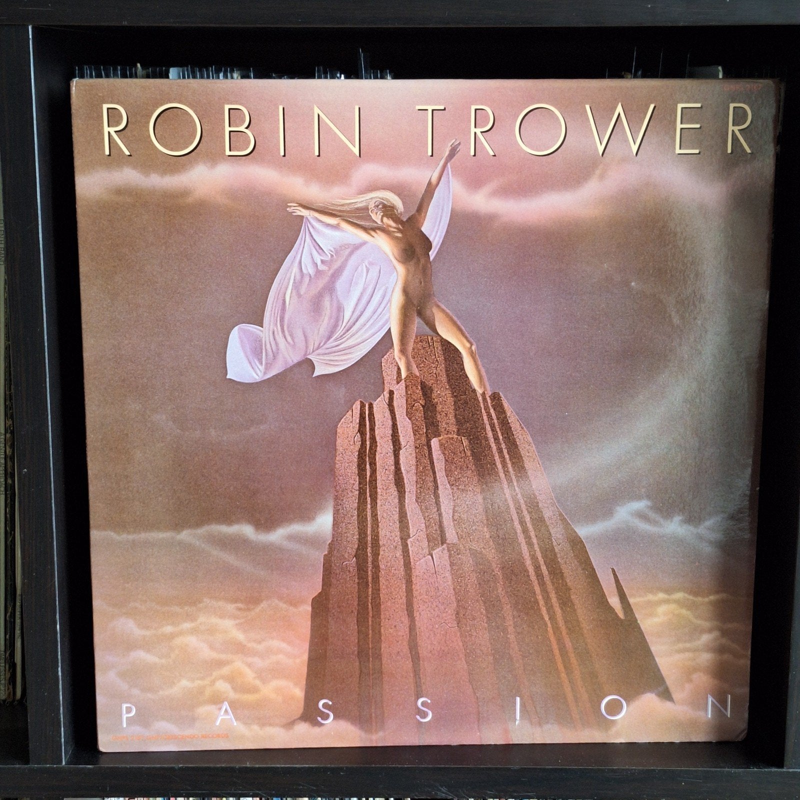 Robin Trower - Passion (LP, 1987), Ophalen of Verzenden, 1980 - 1989, Gebruikt, 12 inch