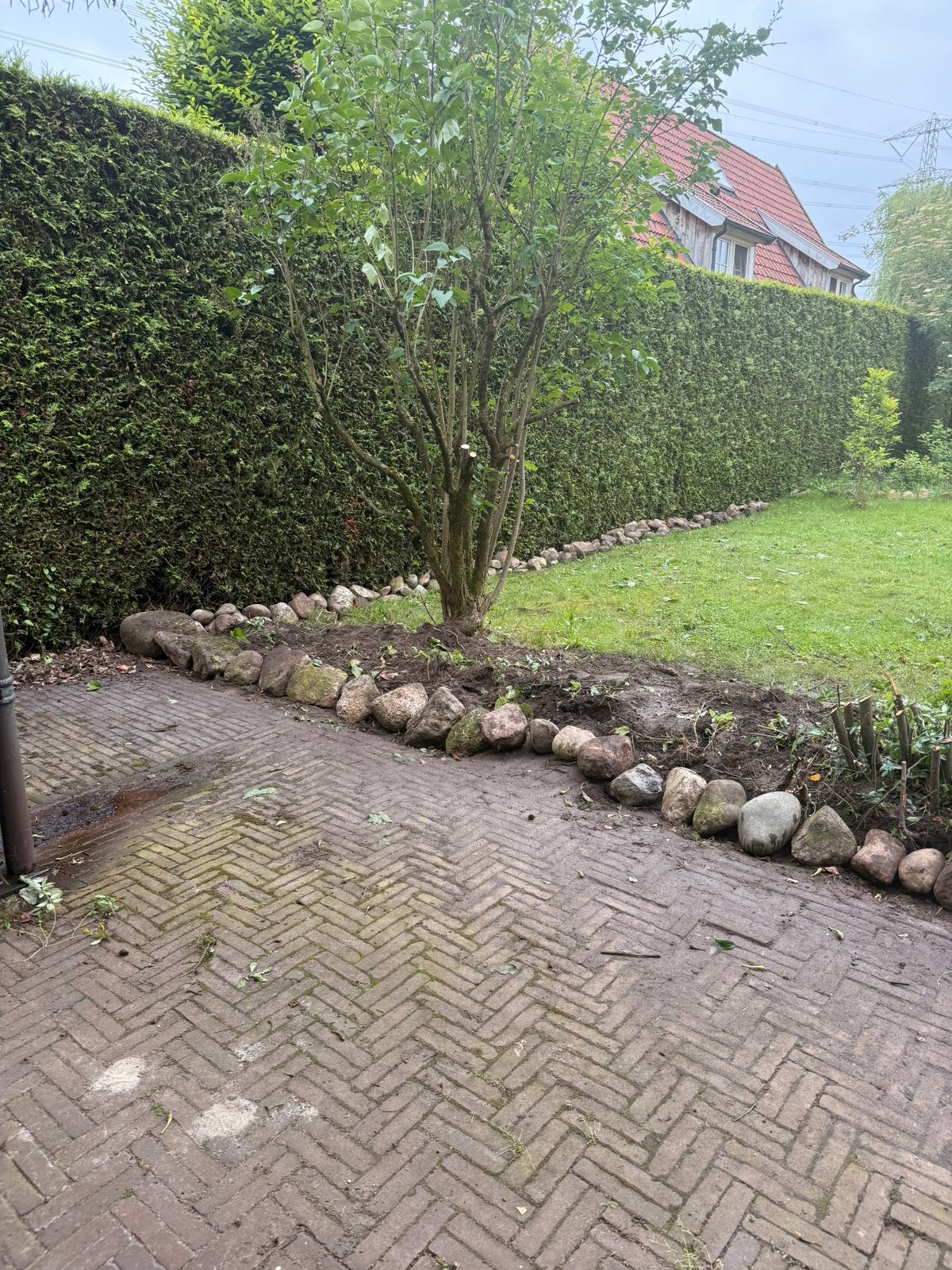 Veldkeien / zwerfkeien / tuinstenen – circa 20 meter border, Ophalen, Overige soorten, Volle zon