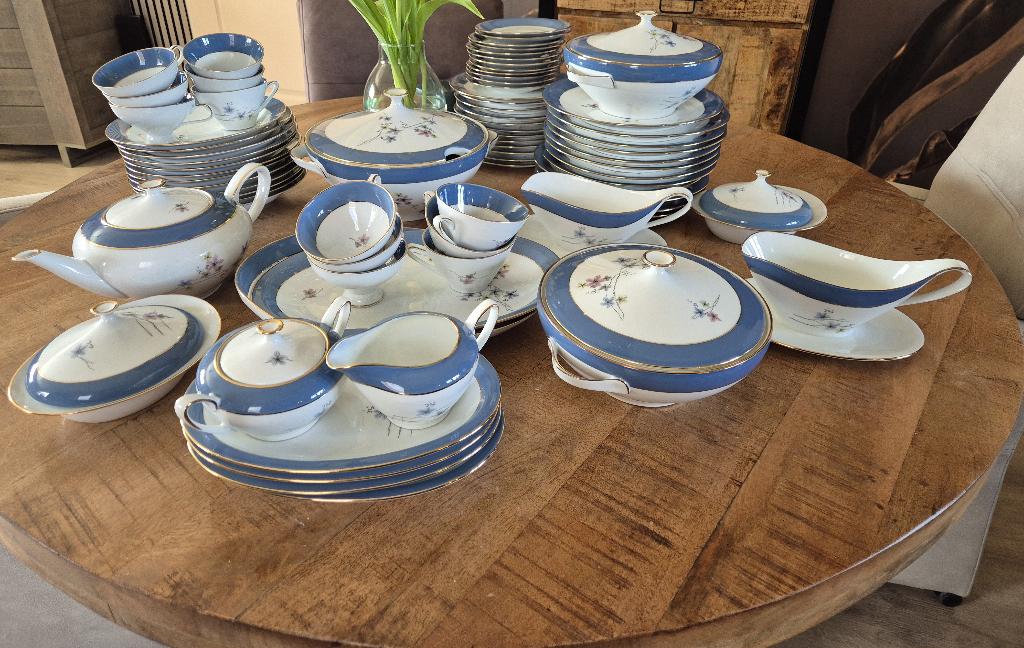 Servies 64delig v.h. Duitse merk Rheinespfalz Hartpozellan, Antiek en Kunst, Ophalen