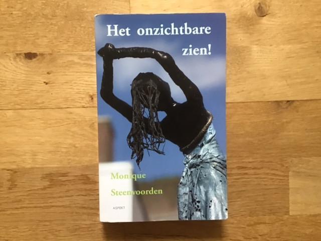 Het onzichtbare zien    Alleen verzendkosten!, Boeken, Esoterie en Spiritualiteit, Achtergrond en Informatie, Spiritualiteit algemeen