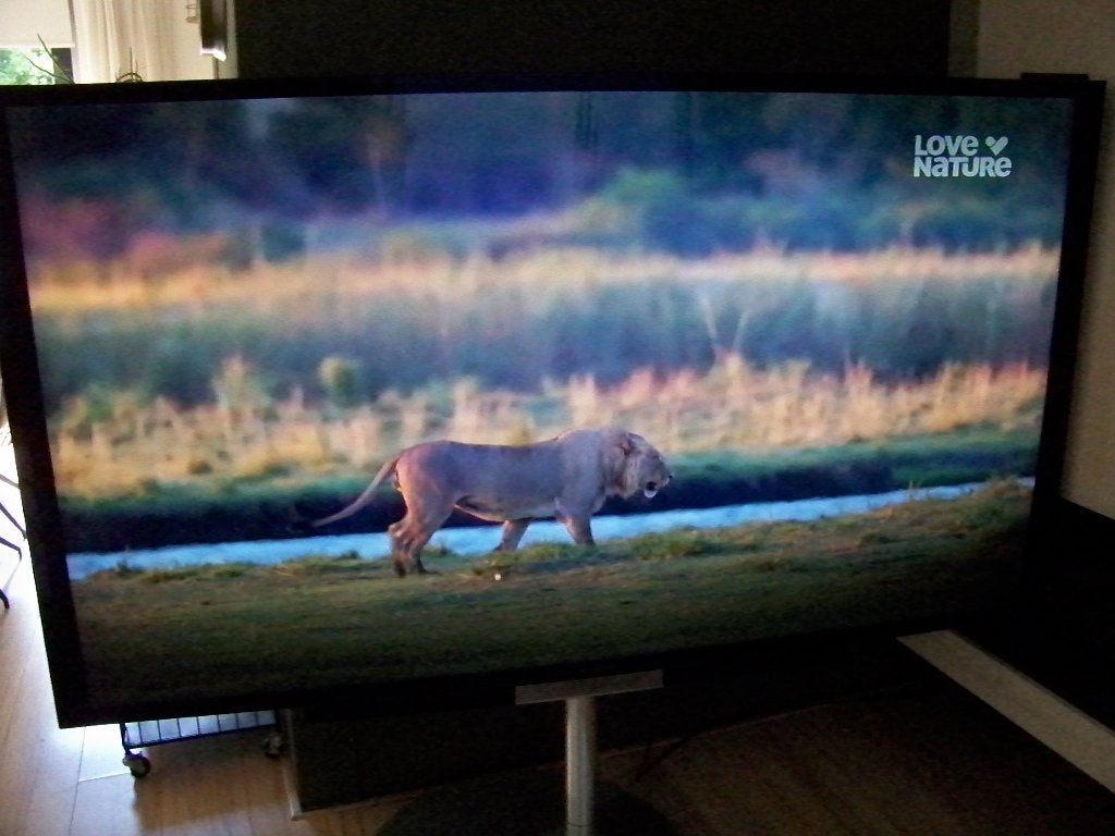 Bang & Olufsen Beovision Avant 85 UHD 4K elektrische stand, 120 Hz, 100 cm of meer, 4k (UHD), Smart TV