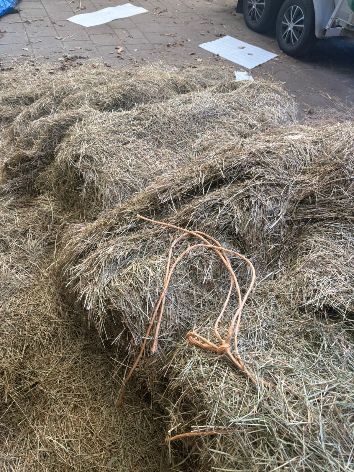 Grote baal hooi 600kg, Dieren en Toebehoren, Ophalen, Vee