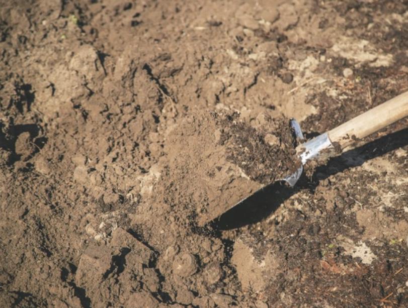 Schone grond gevraagd, Ophalen, Tuinaarde