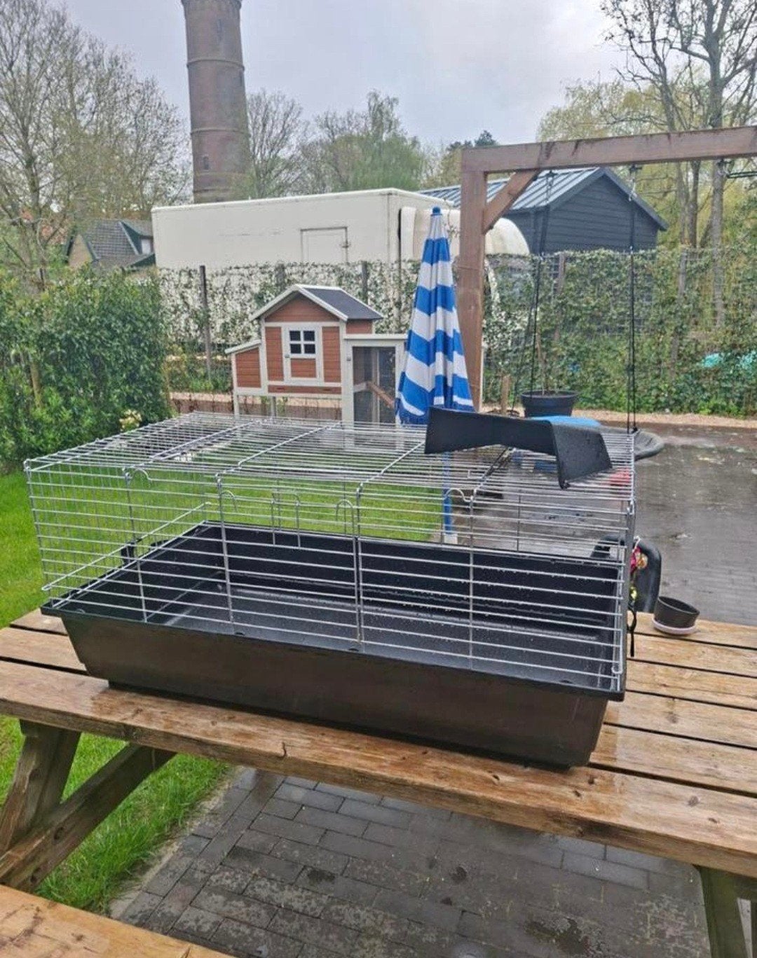 Cavia kooi, Dieren en Toebehoren, Knaagdieren en Konijnen | Hokken en Kooien, Ophalen, Minder dan 75 cm, Kooi, Minder dan 60 cm