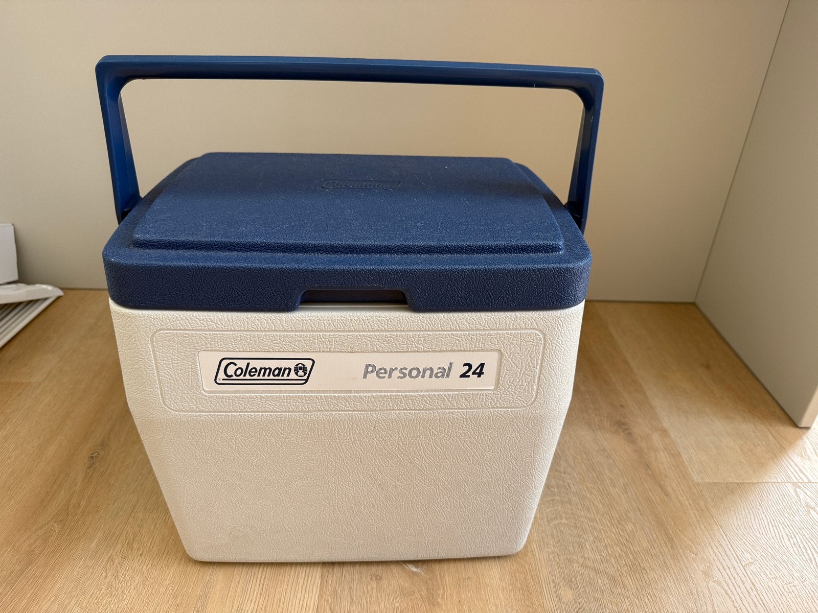 Coleman personal 24 Koelbox,  perfect voor dagje strand, Ophalen of Verzenden, Zo goed als nieuw, Koelelement