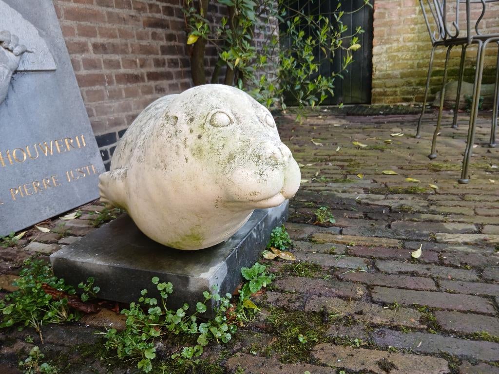 beeld van Zeehond, Ophalen, Natuurlijk materiaal, 50 - 100 cm, Zoogdier