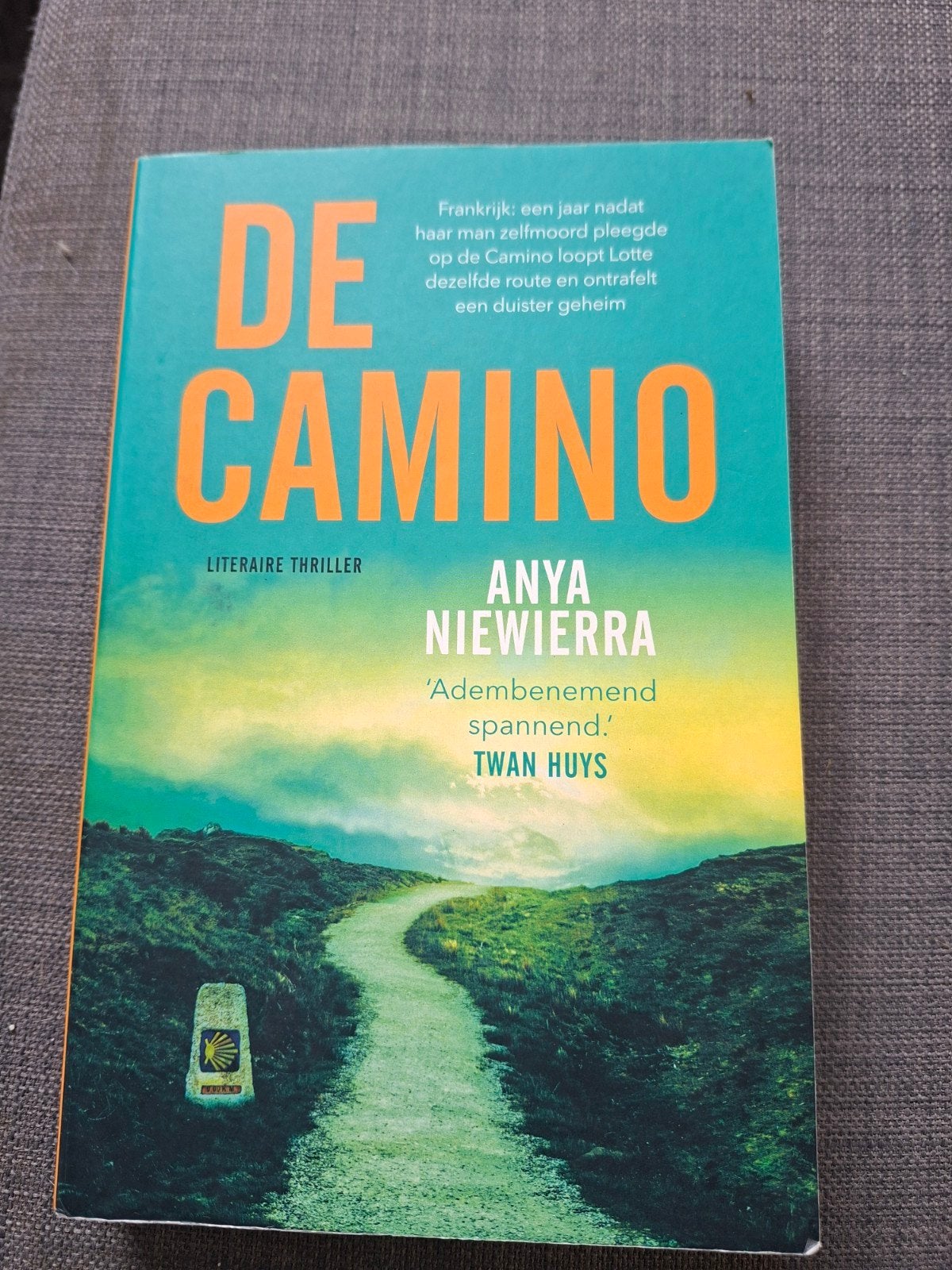 De Camino - Anya Niewierra (Literaire thriller), Boeken, Ophalen of Verzenden, Gelezen, Anya Niewierra, Nederland