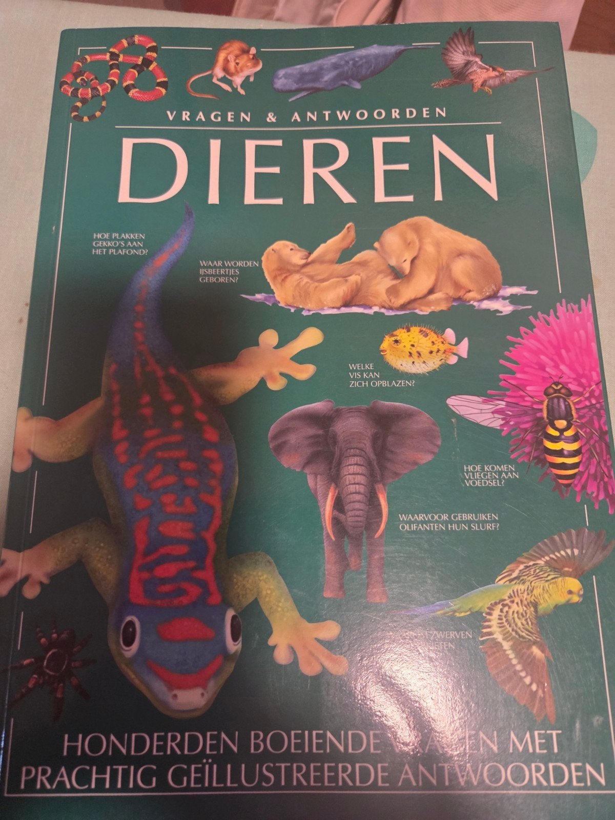 Vragen & Antwoorden Dieren - Geïllustreerd Boek, Boeken, Ophalen of Verzenden, Zo goed als nieuw