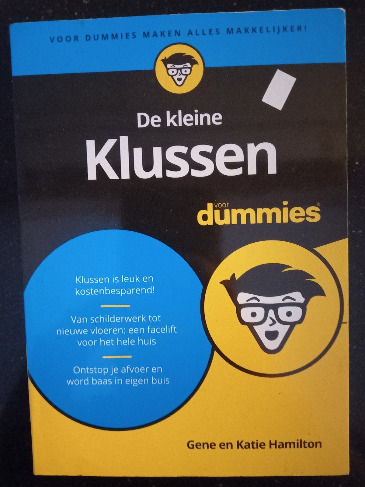 Gene Hamilton - De kleine klussen voor Dummies, Ophalen of Verzenden, Zo goed als nieuw, Tekenen en Schilderen, Gene Hamilton; Katie Hamilton